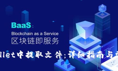 如何从tpWallet中提取文件:详细指南与常见问题解答