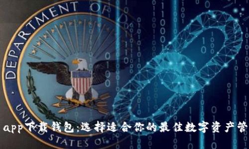 虚拟币app下载钱包:选择适合你的最佳数字资产管理工具