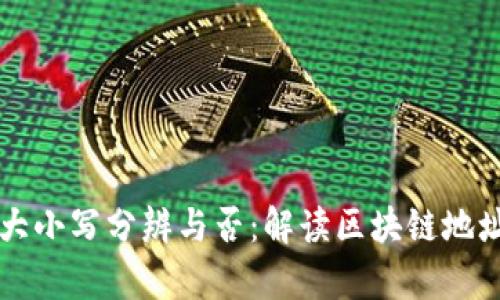 tpWallet地址大小写分辨与否:解读区块链地址的结构与规则