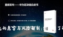 加密钱包的危害与风险解析：你需要了