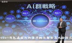 USDT钱包在国内的法律地位解析与风险