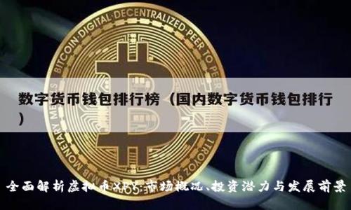 全面解析虚拟币XPY:市场概况、投资潜力与发展前景