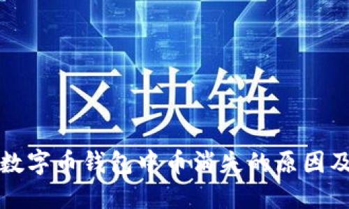 如何排查数字币钱包中币消失的原因及解决办法