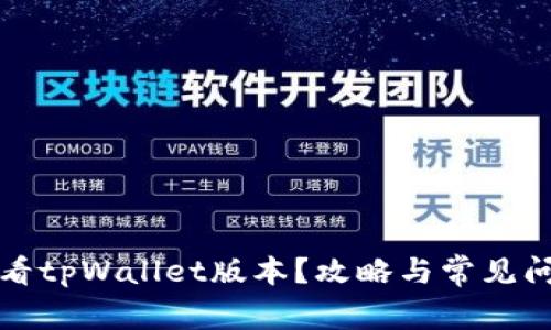 如何查看tpWallet版本？攻略与常见问题解答