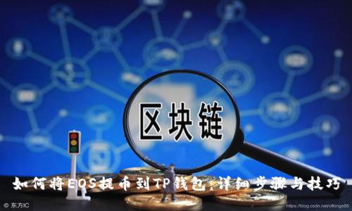 如何将EOS提币到TP钱包:详细步骤与技巧