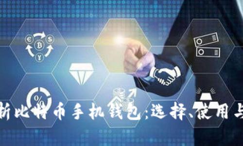 全面解析比特币手机钱包:选择、使用与安全性
