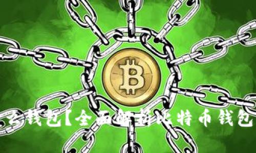 玩比特币用什么钱包?全面解析比特币钱包的种类与选择