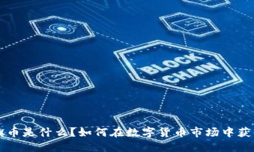 PL虚拟币是什么？如何在数字货币市场中获得成功