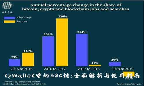 tpWallet中的BSC链:全面解析与使用指南