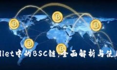 tpWallet中的BSC链：全面解析与使用指南