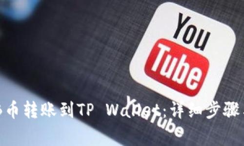 如何将BNB币转账到TP Wallet:详细步骤与注意事项