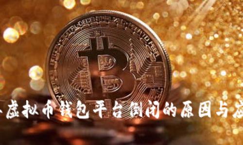 2023年虚拟币钱包平台倒闭的原因与应对策略