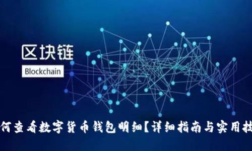 如何查看数字货币钱包明细?详细指南与实用技巧