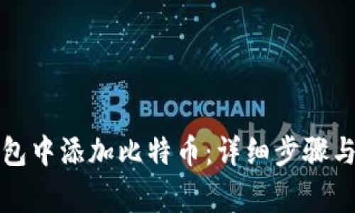如何在狐狸钱包中添加比特币:详细步骤与常见问题解析