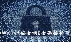 波场的tpWallet安全吗？全面解析及风险
