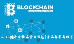SHIB币适合放在什么钱包？全面解析与
