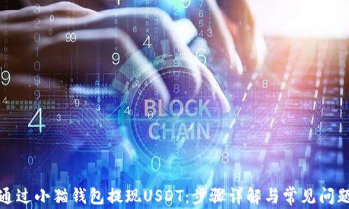 
如何通过小猫钱包提现USDT：步骤详解与常见问题解答