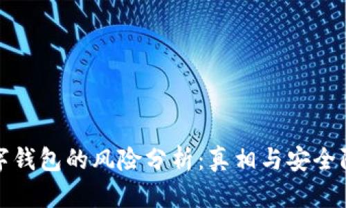 下载数字钱包的风险分析:真相与安全防范建议