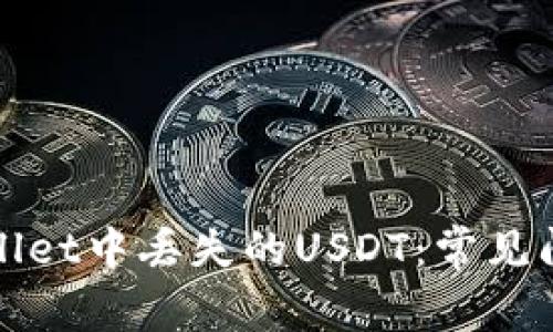 如何找回tpWallet中丢失的USDT:常见问题与解决方案
