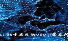 如何找回tpWallet中丢失的USDT：常见问题
