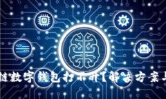 为什么多链数字钱包打不开？解决方案