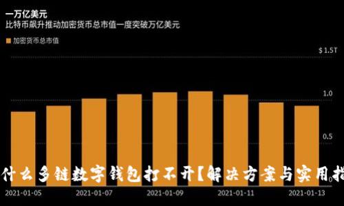 为什么多链数字钱包打不开？解决方案与实用指南