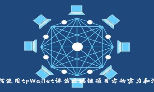 如何使用tpWallet评估区块链项目方的实力和潜力