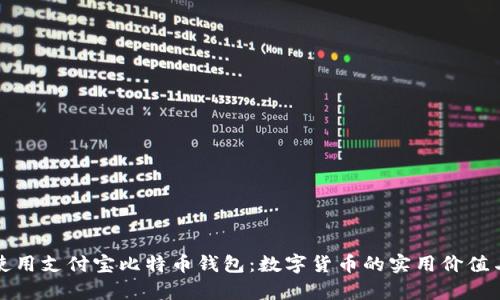 如何使用支付宝比特币钱包：数字货币的实用价值与前景