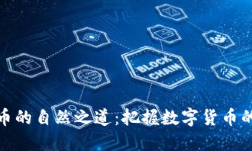 探索虚拟币的自然之道：把握数字货币的实用价值