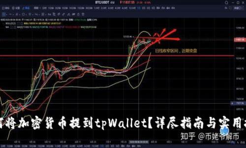 如何将加密货币提到tpWallet？详尽指南与实用技巧