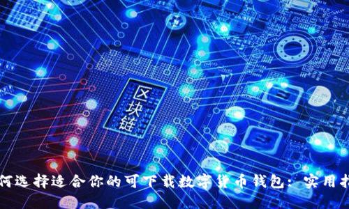 如何选择适合你的可下载数字货币钱包: 实用指南