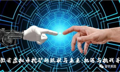 安徽省虚拟币挖矿的现状与未来：机遇与挑战并存