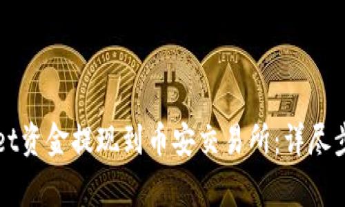 如何将tpWallet资金提现到币安交易所：详尽步骤与注意事项