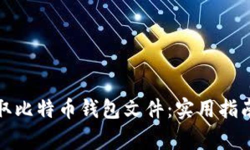 如何安全读取比特币钱包文件：实用指南与注意事项