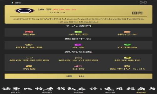 如何安全读取比特币钱包文件：实用指南与注意事项