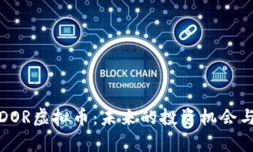 深入剖析DOR虚拟币：未来的投资机会与实用价值