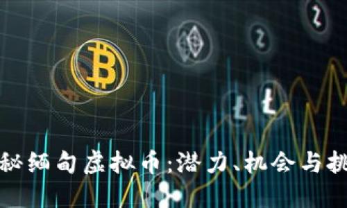 揭秘缅甸虚拟币：潜力、机会与挑战