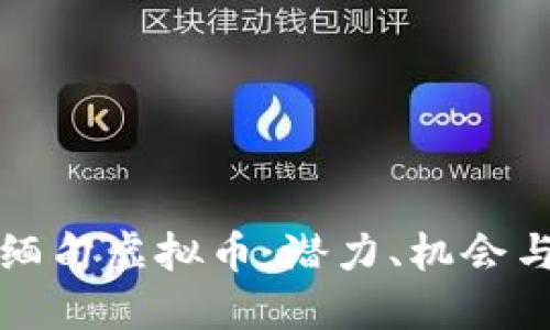 揭秘缅甸虚拟币：潜力、机会与挑战