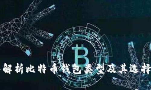 深入解析比特币钱包类型及其选择指南