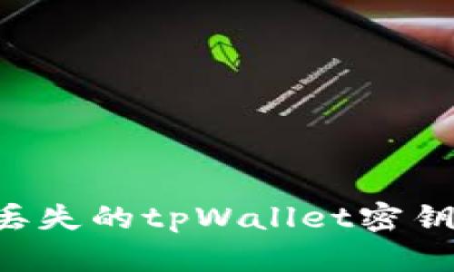 如何找回丢失的tpWallet密钥：实用指南