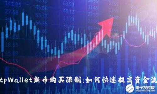 破解tpWallet新币购买限制：如何快速提高资金流动性