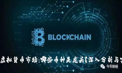 2023年虚拟货币市场：哪些币种是龙头？深入分析与实用价值