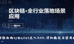 如何轻松向tpWallet充入BNB：详细教程与