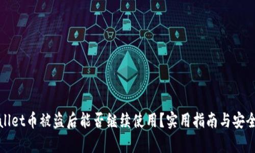 tpWallet币被盗后能否继续使用？实用指南与安全建议