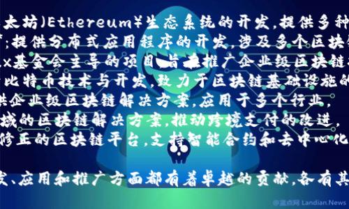 区块链技术开发公司有很多，以下是一些知名的公司：

1. **Consensys**：专注于以太坊（Ethereum）生态系统的开发，提供多种区块链解决方案。
2. **ChainSafe Systems**：提供分布式应用程序的开发，涉及多个区块链平台。
3. **Hyperledger**：由Linux基金会主导的项目，旨在推广企业级区块链技术。
4. **Blockstream**：专注于比特币技术与开发，致力于区块链基础设施的构建。
5. **IBM Blockchain**：提供企业级区块链解决方案，应用于多个行业。
6. **Ripple**：专注于金融领域的区块链解决方案，推动跨境支付的改进。
7. **Tezos**：提供一种自我修正的区块链平台，支持智能合约和去中心化应用的开发。

这些公司在区块链技术的开发、应用和推广方面都有着卓越的贡献，各有其独特的技术优势和业务方向。