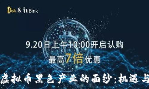   
揭开虚拟币黑色产业的面纱：机遇与陷阱