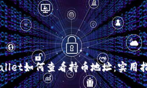 了解tpWallet如何查看持币地址：实用指南与技巧