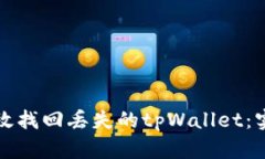 如何有效找回丢失的tpWallet：实用指南