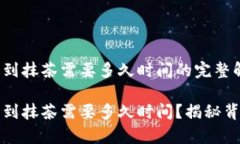 tbWallet提币到抹茶需要多久时间的完整