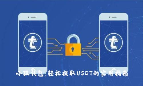 小狐钱包：轻松提取USDT的实用指南